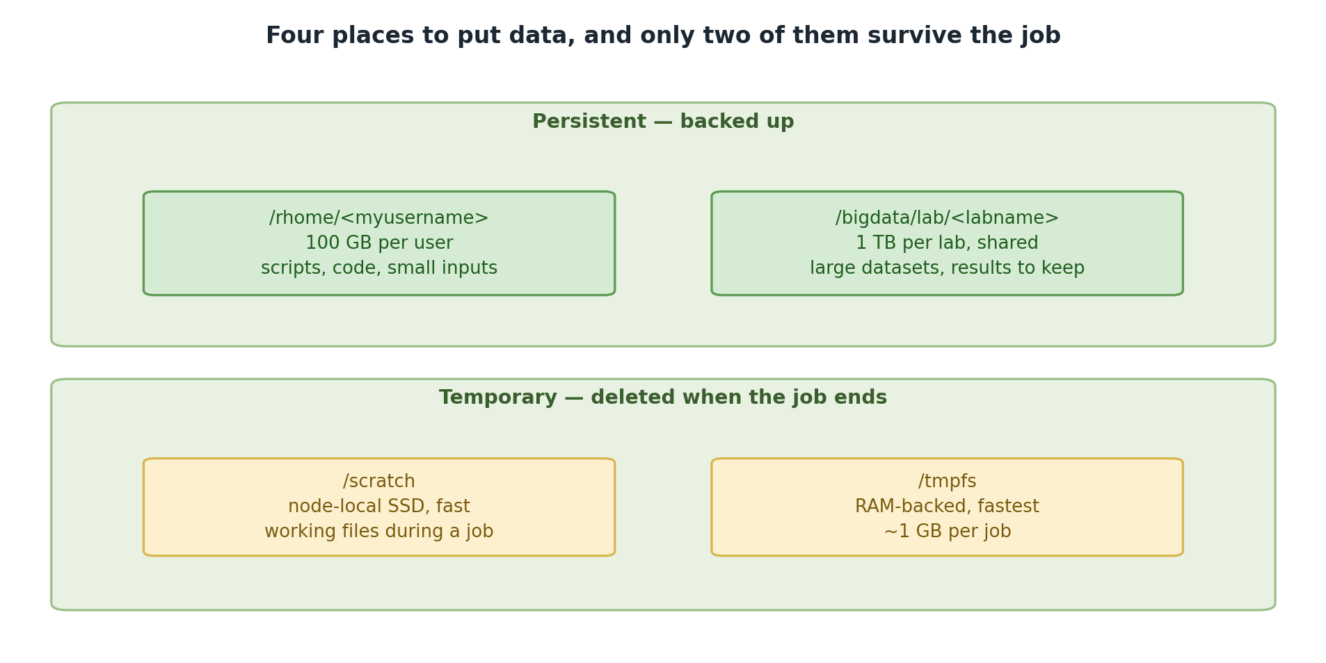 Storage on Sagehen HPC in two groups. Persistent and backed up: /rhome with 100 GB per user for scripts, code and small inputs, and /bigdata/lab per lab with 1 TB shared for large datasets and results to keep. Temporary and deleted when the job ends: /scratch, node-local SSD used for working files during a job, and /tmpfs, RAM-backed and fastest at about 1 GB per job.