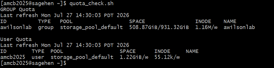 Terminal output of quota_check.sh on Sagehen. A GROUP Quota section shows the lab group using 508.87 GiB of a 931.32 GiB limit with 1.16 million inodes and no inode limit. A User Quota section shows the individual user consuming 1.22 GiB with no per-user space limit shown. Both rows reference storage_pool_default.