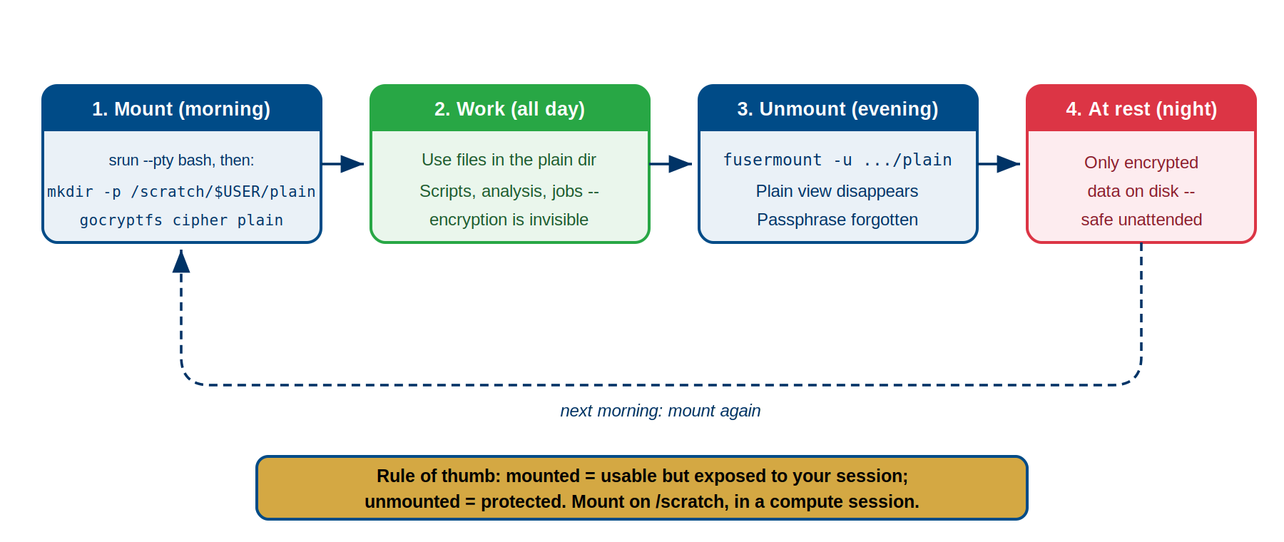 Four-step daily cycle. Step 1, mount in the morning: start an interactive compute session with srun, create the mountpoint with mkdir -p /scratch/$USER/plain, then run gocryptfs. Step 2, work all day: use files in the plain directory; scripts, analysis, and jobs run with encryption invisible. Step 3, unmount in the evening: fusermount -u plain; the plain view disappears and the passphrase is forgotten. Step 4, at rest overnight: only encrypted data on disk, safe unattended. A dashed arrow loops back to mounting again the next morning. Banner: mounted equals usable but exposed to your session; unmounted equals protected; mount on /scratch inside a compute session.