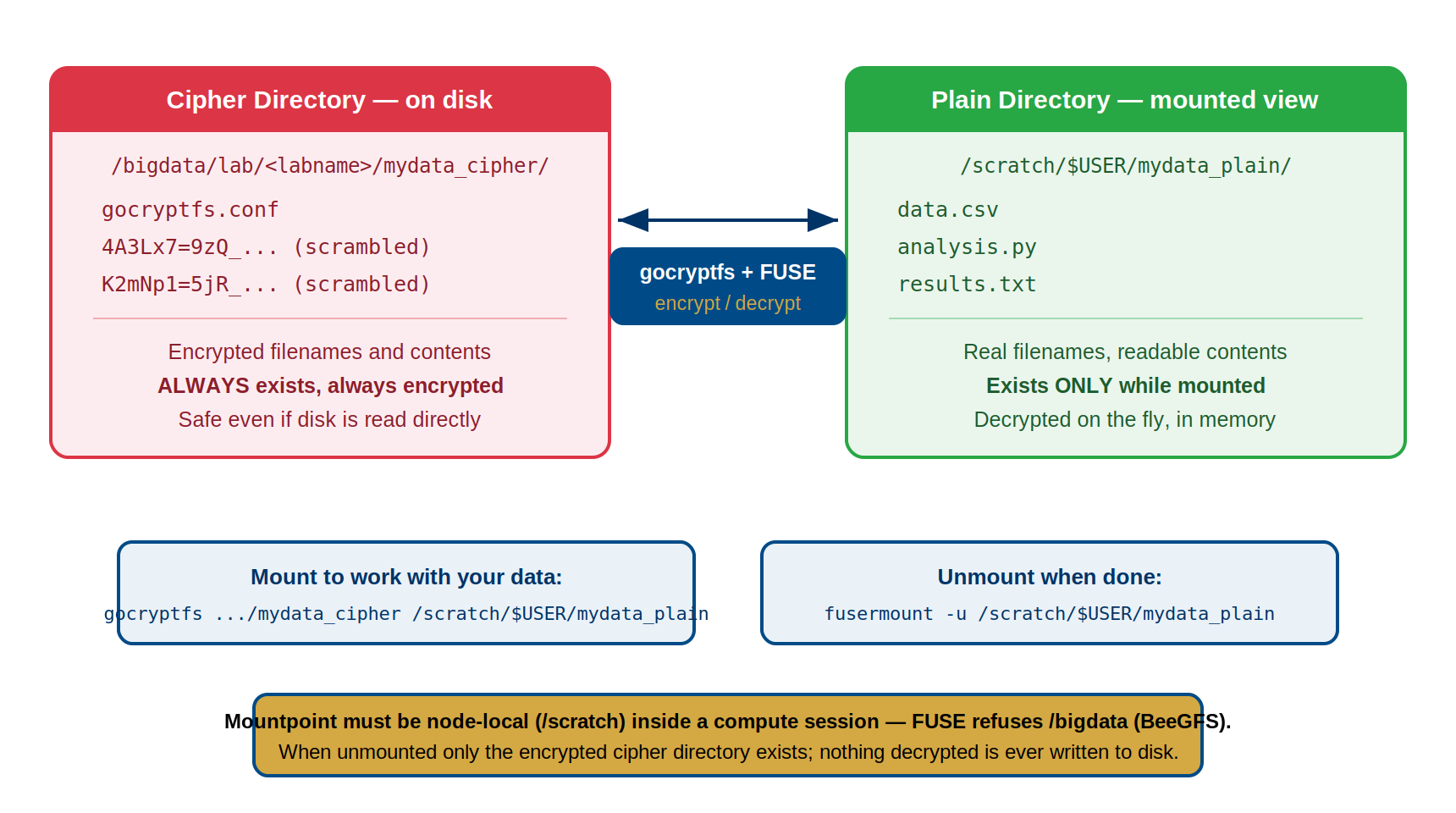Diagram of the gocryptfs two-directory model. On the left, the cipher directory on disk contains gocryptfs.conf and files with scrambled encrypted names; it always exists and is always encrypted. On the right, the plain directory mounted view shows real filenames data.csv, analysis.py, and results.txt; it exists only while mounted and is decrypted on the fly in memory. The cipher directory lives at /bigdata/lab/<labname>/mydata_cipher and the plain directory at /scratch/$USER/mydata_plain. Between them, gocryptfs plus FUSE encrypts and decrypts. Below, the mount command and the unmount command fusermount -u. A banner notes the mountpoint must be node-local /scratch inside a compute session because FUSE refuses /bigdata on BeeGFS, and when unmounted only the encrypted cipher directory exists with nothing decrypted ever written to disk.