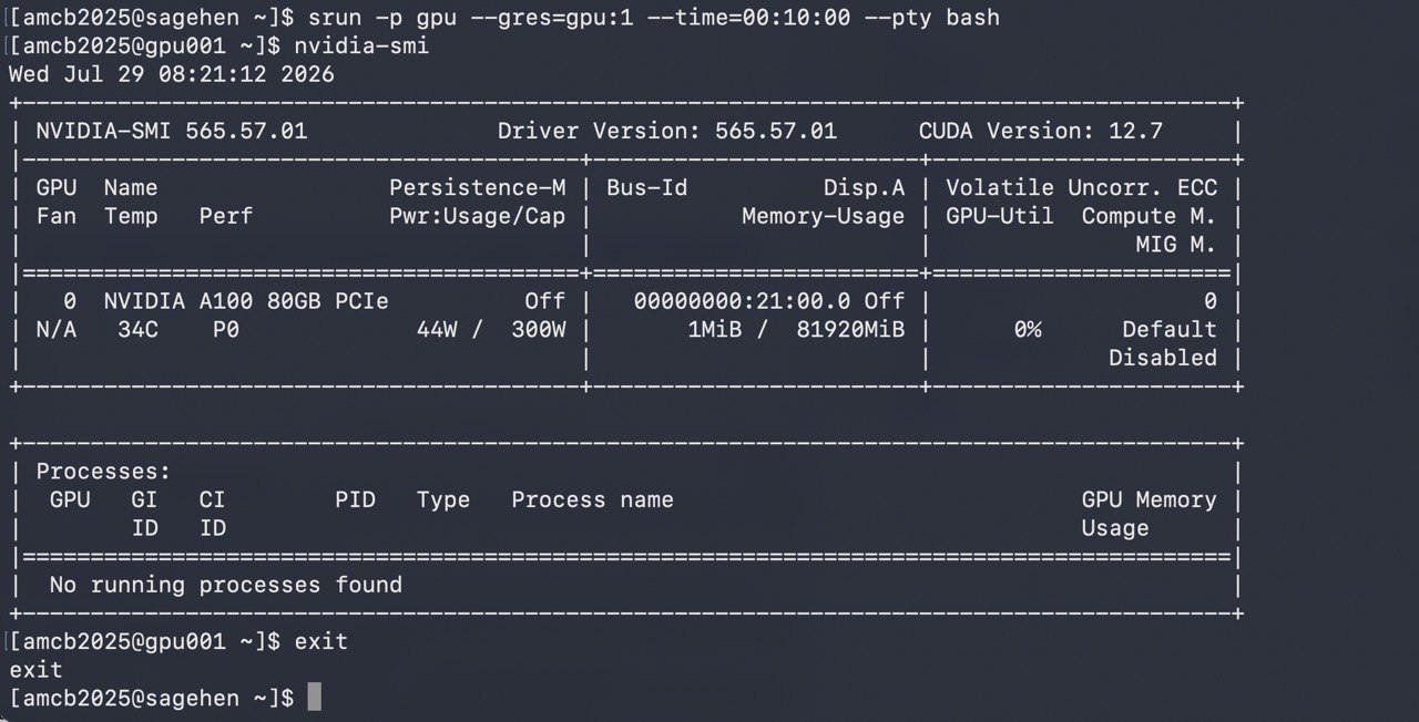 Terminal showing an interactive GPU session requested with srun on the gpu partition. The nvidia-smi table reports one NVIDIA A100 80GB PCIe GPU with almost no memory in use and zero percent utilization, driver version 565.57.01 and CUDA version 12.7, and the user then exits back to the login node.