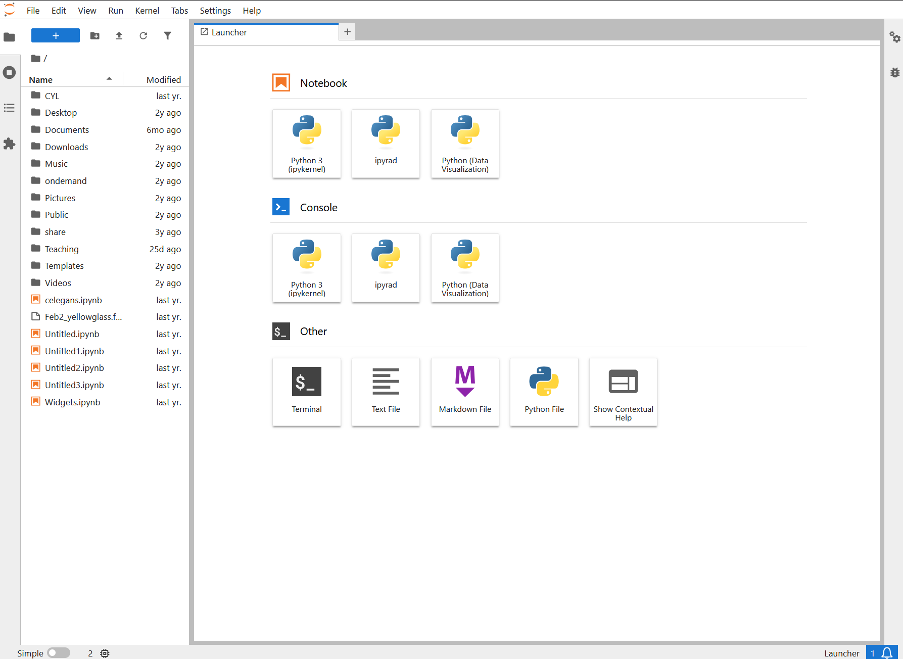JupyterLab interface showing file browser on the left and Launcher tab with Notebook, Console, and Other sections including Python 3, ipyrad, and Python Data Visualization kernels