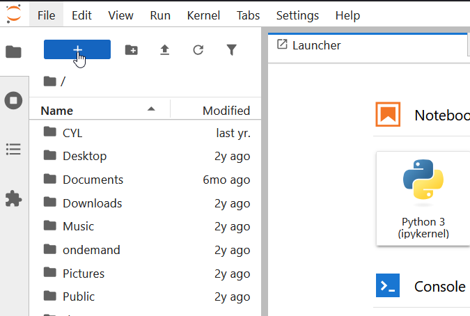 JupyterLab interface with the file browser on the left showing home directory folders and the Launcher on the right with Python 3 ipykernel notebook option