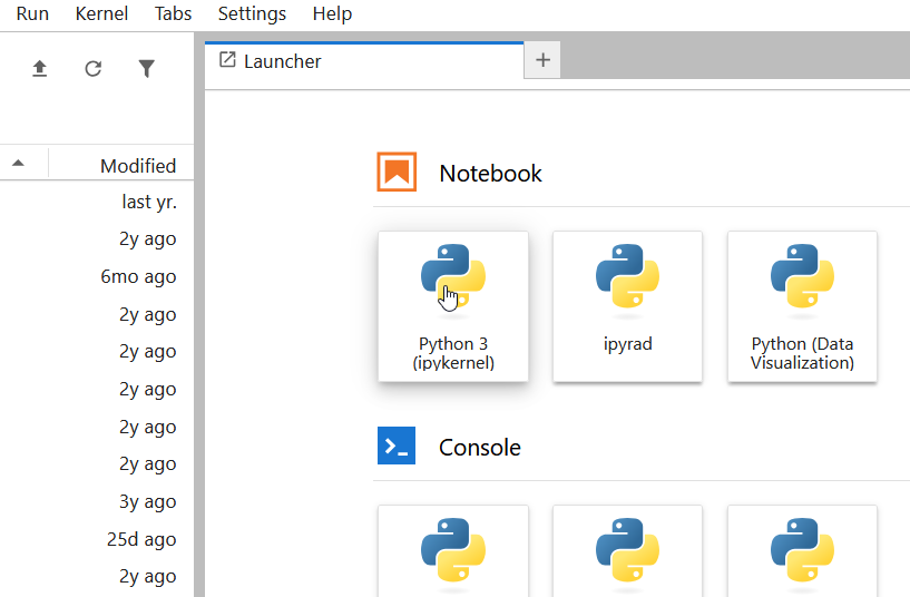 JupyterLab Launcher showing three notebook kernel options: Python 3 ipykernel, ipyrad, and Python Data Visualization