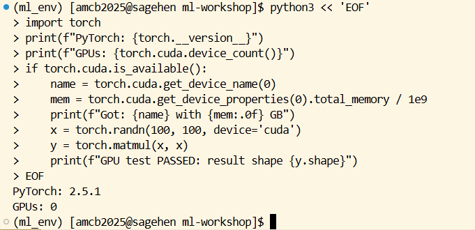 Terminal running the challenge solution as a Python heredoc. It prints the PyTorch version 2.5.1, the GPU count, the GPU name and memory, then performs a matrix multiplication on the CUDA device and reports that the GPU test passed with the resulting tensor shape.