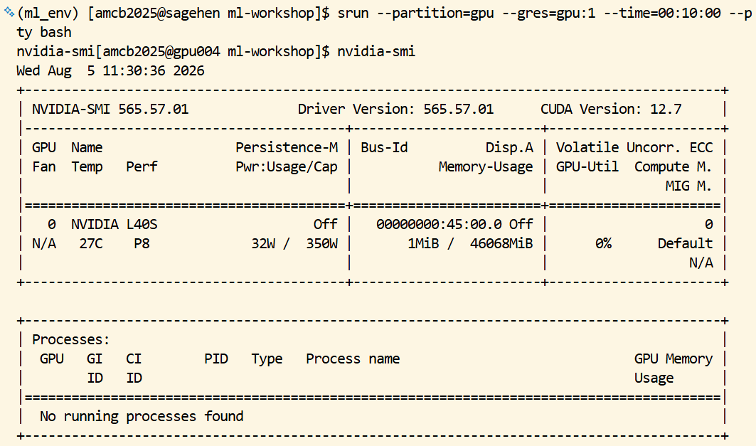Terminal running srun with the gpu partition and one GPU requested. The shell prompt changes from the login node to a gpu node, and nvidia-smi then prints its table showing a single NVIDIA L40S card with roughly 46 gigabytes of memory, almost none in use, and no processes running on it.