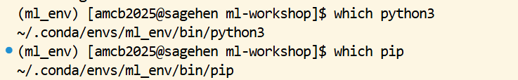 Terminal with the ml_env conda environment active. The command which python3 returns a path inside the environment, ending in .conda/envs/ml_env/bin/python3, and which pip returns the matching pip inside the same environment directory rather than a system path.