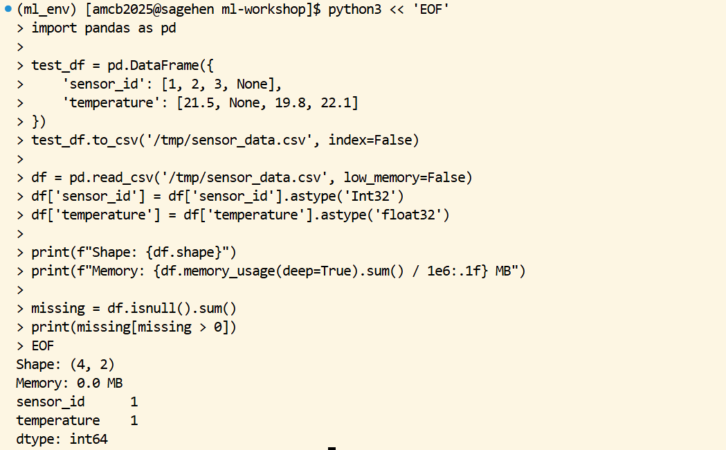 Terminal running a Python heredoc that builds a small pandas DataFrame with sensor_id and temperature columns containing deliberate None values, writes it to CSV, reads it back with explicit Int32 and float32 dtypes, then prints the DataFrame shape, its memory usage in megabytes, and a count of one missing value in each of the two columns.