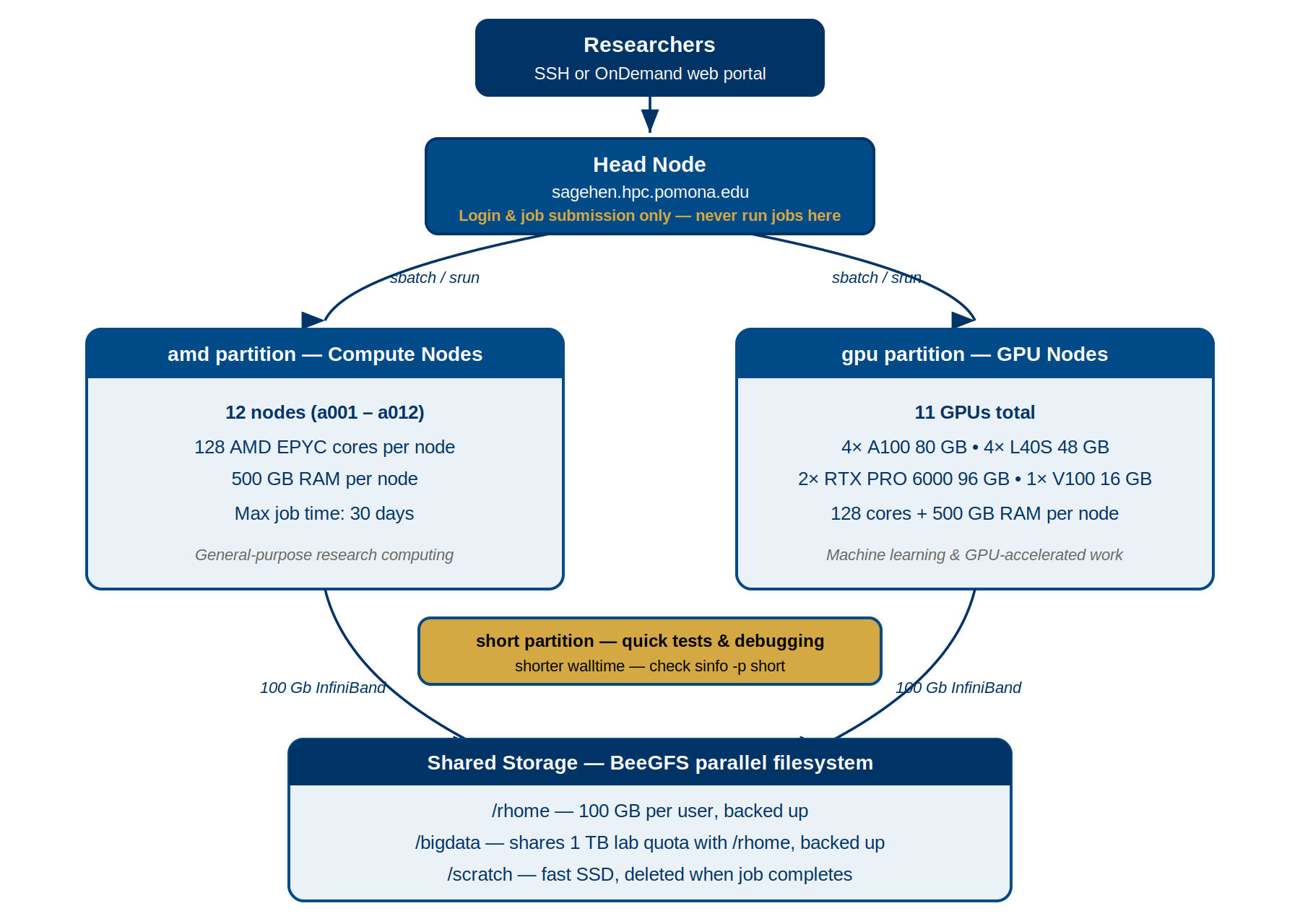 Diagram of the Sagehen HPC cluster. Researchers connect via SSH or the OnDemand web portal to the head node, sagehen.hpc.pomona.edu, which is for login and job submission only. Jobs are dispatched via sbatch or srun to the amd partition of 12 compute nodes with 128 AMD EPYC cores and 500 GB RAM each, or to the gpu partition with 10 GPUs total. A short partition serves quick tests and debugging. All nodes connect over 100 Gb InfiniBand to shared BeeGFS storage: /rhome, /bigdata, and /scratch.