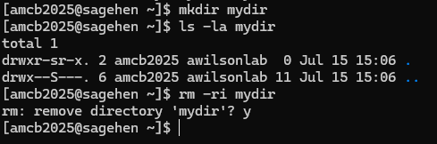 Interactive deletion in practice: rm -ri asks before removing the directory.