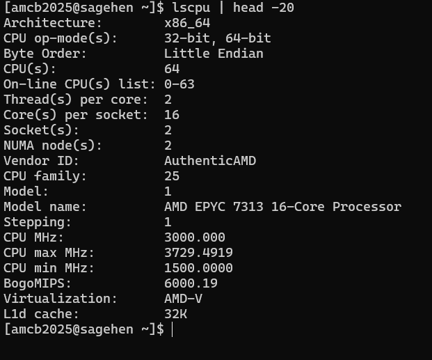 Output of lscpu piped to head, reporting x86_64 architecture, 64 online CPUs from two sockets of 16 cores with two threads per core, vendor AuthenticAMD, and the model name AMD EPYC 7313 16-Core Processor.