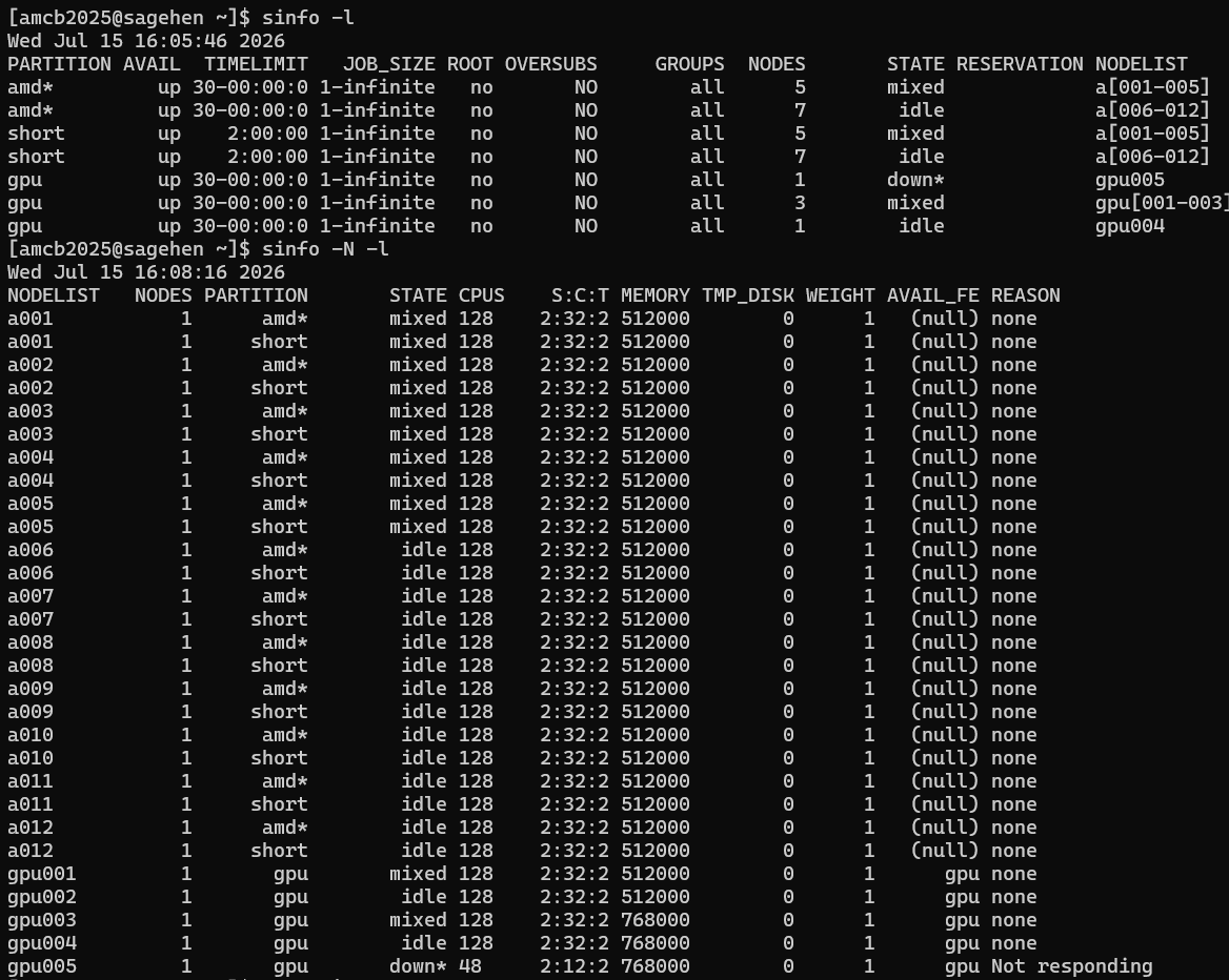 Terminal output of two sinfo commands on Sagehen. The partition view lists amd and gpu with a 30-day time limit and short with a 2-hour limit. The node view lists a001 through a012 with 128 CPUs and roughly 512 GB of memory each, plus five gpu nodes, one of which is down.