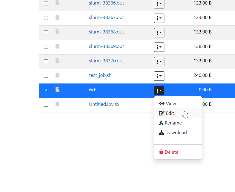 A cropped view of the OnDemand file listing with one file selected and its dropdown menu open, showing five actions: View, Edit, Rename, Download, and a red Delete option.