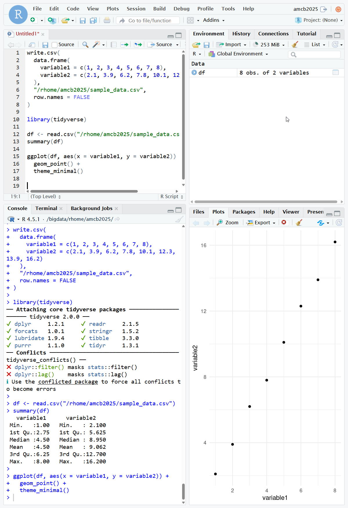 The four-panel RStudio Server interface. The editor and console show R code writing an eight-row sample CSV to the home directory, loading tidyverse, reading the file back, and printing a summary. The Plots pane displays a scatter plot and the Environment pane lists a data frame of 8 observations of 2 variables.