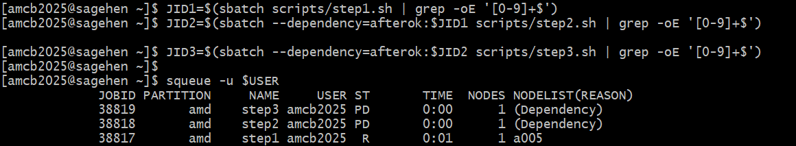 Terminal on Sagehen showing three sbatch submissions where each job ID is captured into a shell variable and the next job depends on it via afterok. The squeue output lists one job running as step1 on node a005 in the amd partition, while two jobs are pending with reason Dependency.