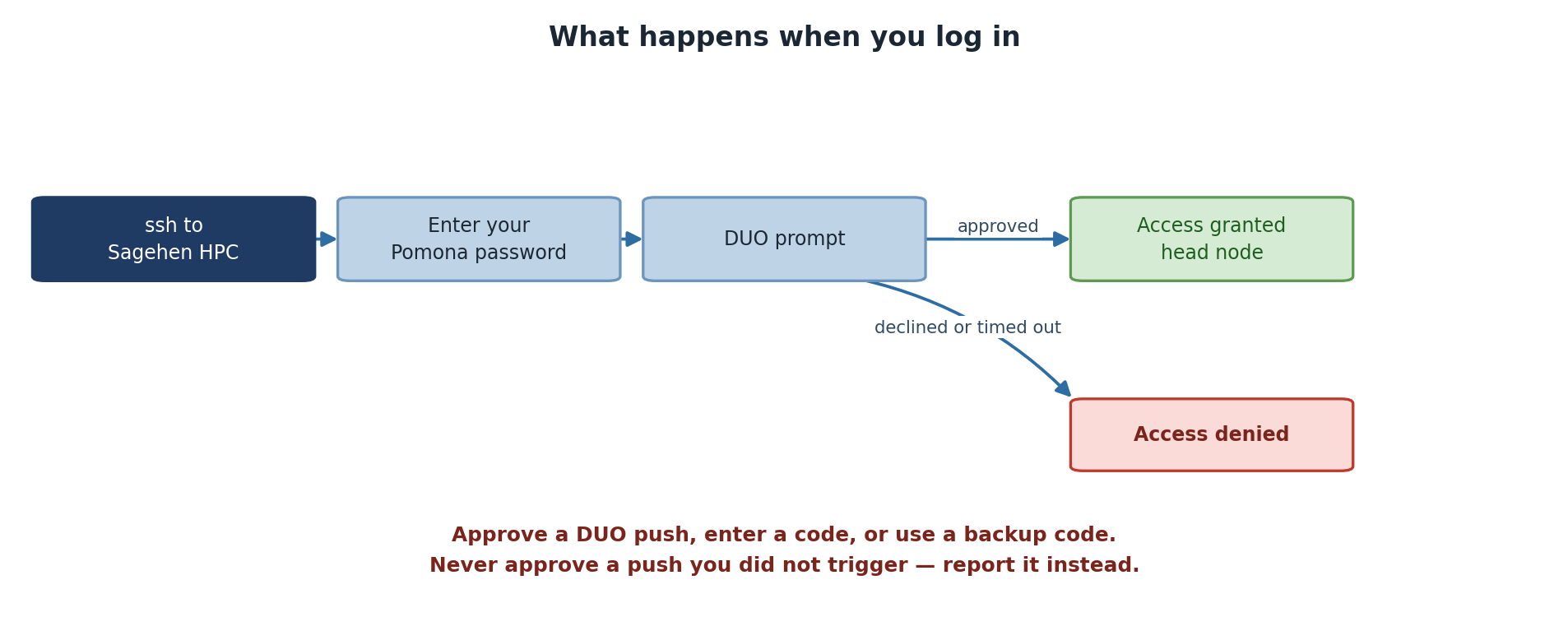 A login flow. You ssh to Sagehen HPC, enter your Pomona password, and reach a DUO prompt. If approved, access is granted to the head node. If declined or timed out, access is denied. A note says to approve a push, enter a code, or use a backup code, and never to approve a push you did not trigger.