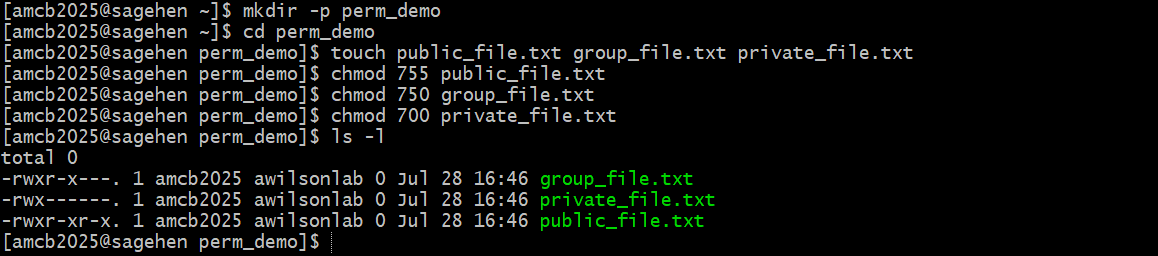 A terminal session creating a demo directory with three empty files and applying chmod 755, 750, and 700. The ls -l output shows one file readable by everyone, one accessible to the owner and the lab group, and one accessible only to the owner.