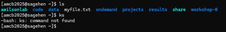 Terminal on the Sagehen cluster. The ls command lists directories including code, data, projects, and workshop-0. A second command, ks, returns the error bash: ks: command not found, and the prompt returns.
