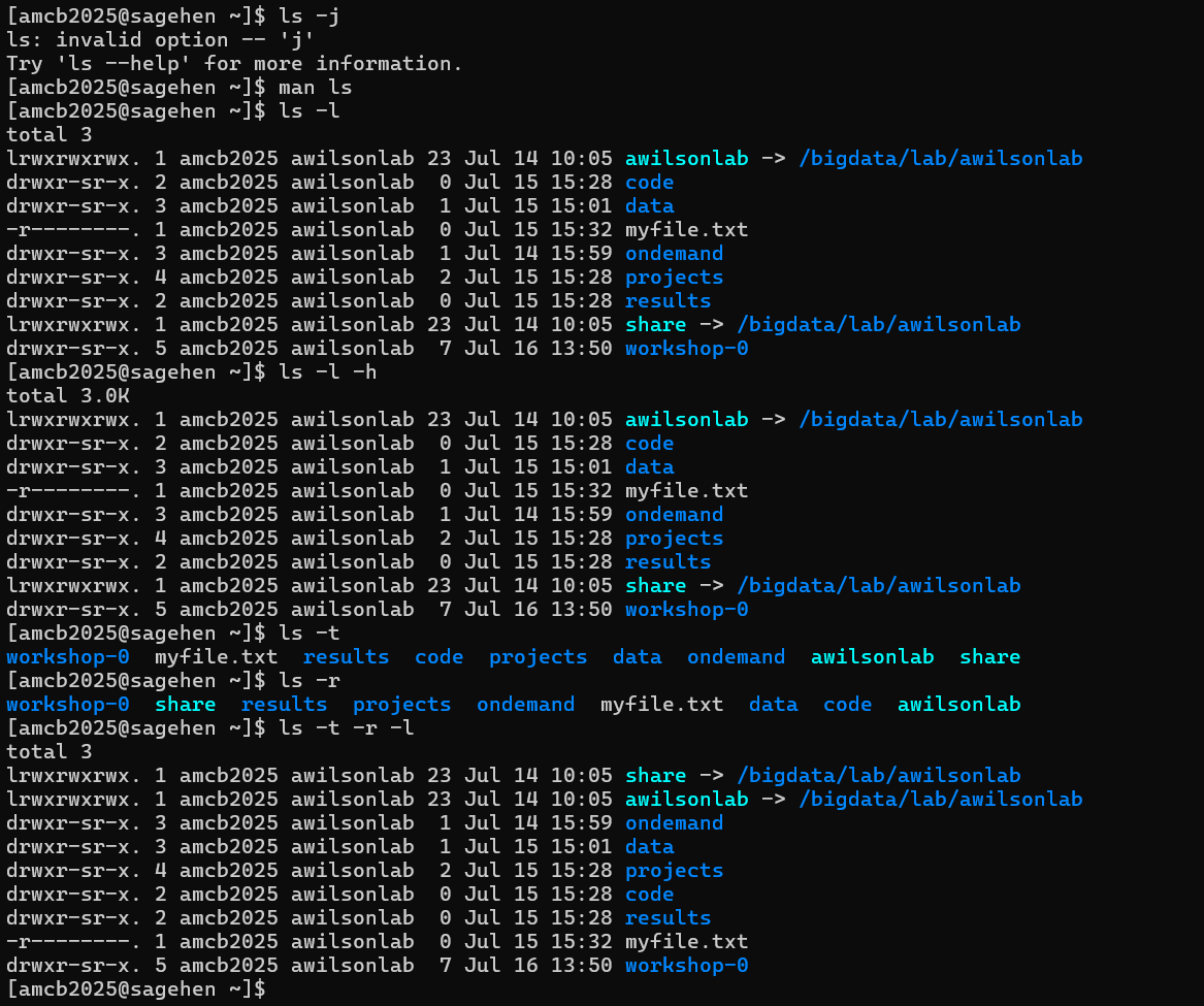 Sagehen terminal session. ls -j fails with invalid option. ls -l and ls -l -h show long-format listings with permissions, owner, group, and symlinks pointing to /bigdata/lab/awilsonlab. ls -t, ls -r, and ls -t -r -l show the same directory sorted by modification time and in reverse.