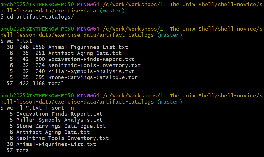 Terminal session in artifact-catalogs. wc *.txt lists line, word, and character counts for six catalog files with a total of 57 lines. The pipeline wc -l *.txt piped to sort -n shows the files ordered by line count with Animal-Figurines-List.txt largest at 30 lines.