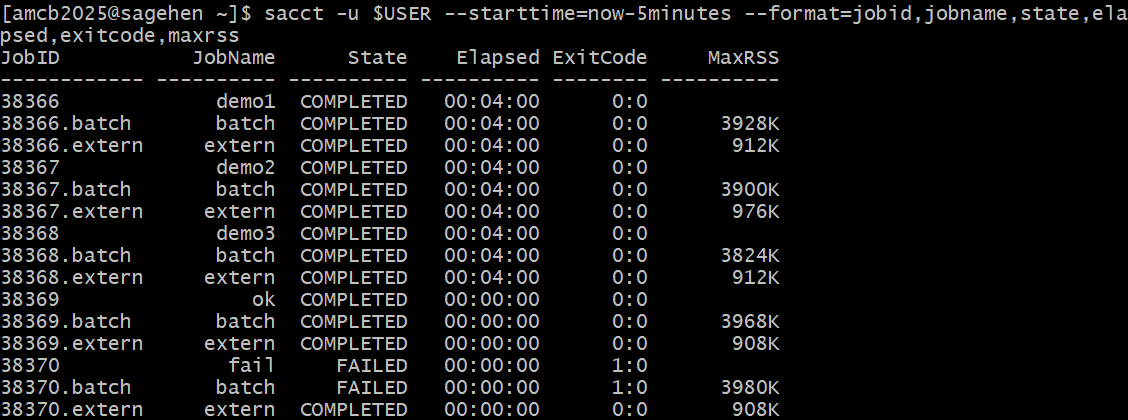 Terminal output of sacct filtered to the last five minutes. Jobs 38366 through 38369 show state COMPLETED with exit code 0:0, while job 38370 named fail shows FAILED with exit code 1:0. Each job lists batch and extern steps with MaxRSS values.