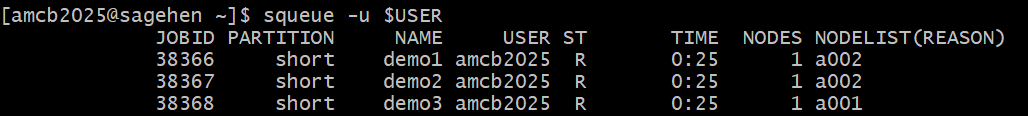 Terminal on Sagehen HPC showing squeue output for one user. Three jobs named demo1, demo2, and demo3 run on the short partition in state R for 25 seconds each, on nodes a001 and a002.