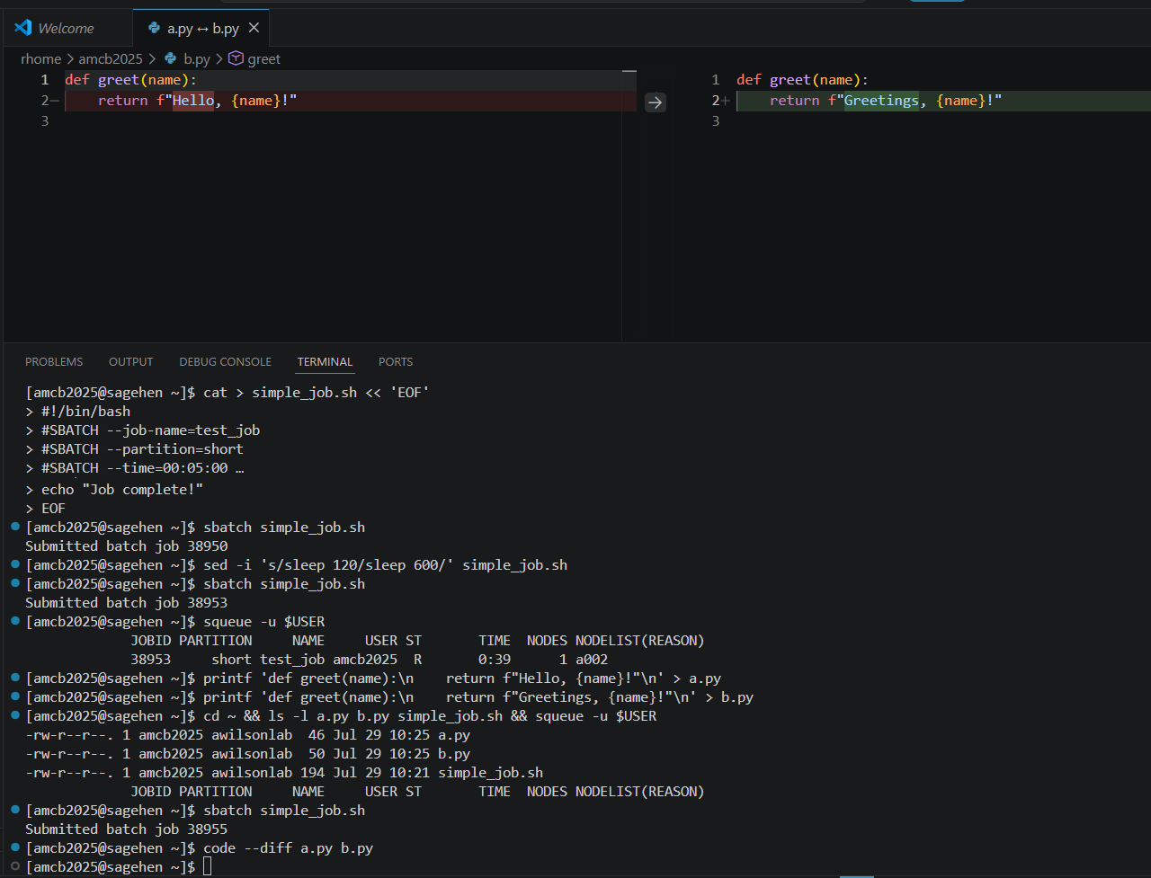 A VS Code diff editor comparing two Python files side by side. Both define a greet function; the left pane highlights the line returning Hello in red as removed, and the right pane highlights the line returning Greetings in green as added.
