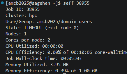 Terminal output of seff for a job on cluster hpc. The job ended in TIMEOUT state after five minutes of wall-clock time, used zero percent of its CPU core-walltime across two cores, and utilized under four megabytes of the one gigabyte requested.